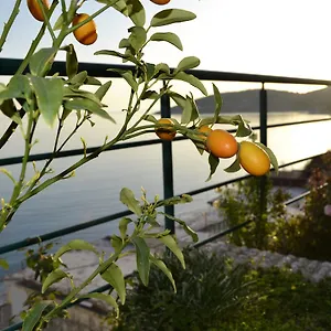 Panorma Albania